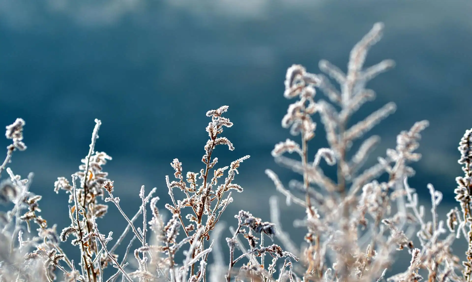 Frio intenso persiste no Centro-Sul do Brasil e alivia no fim de semana