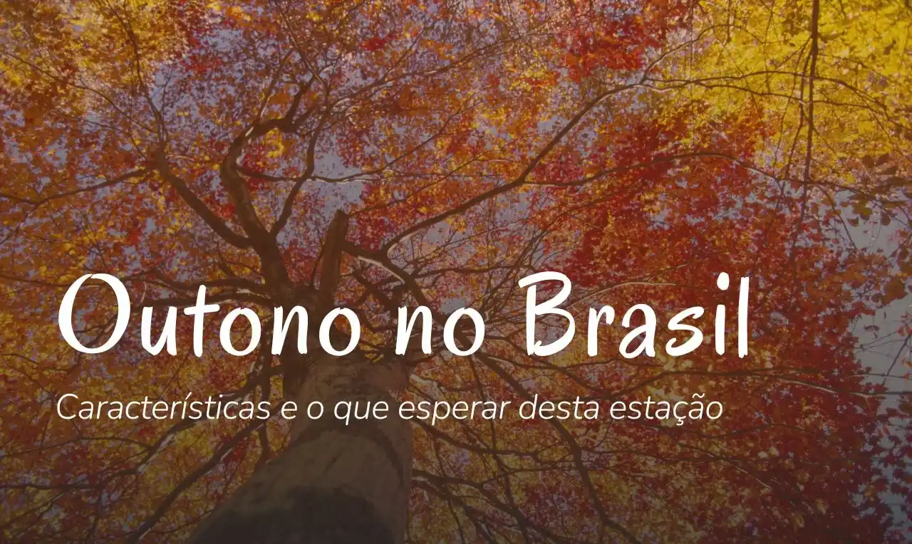 A imagem ilustra a estação de outono no país, como o tempo se comporta e como a natureza se prepara para o inverno