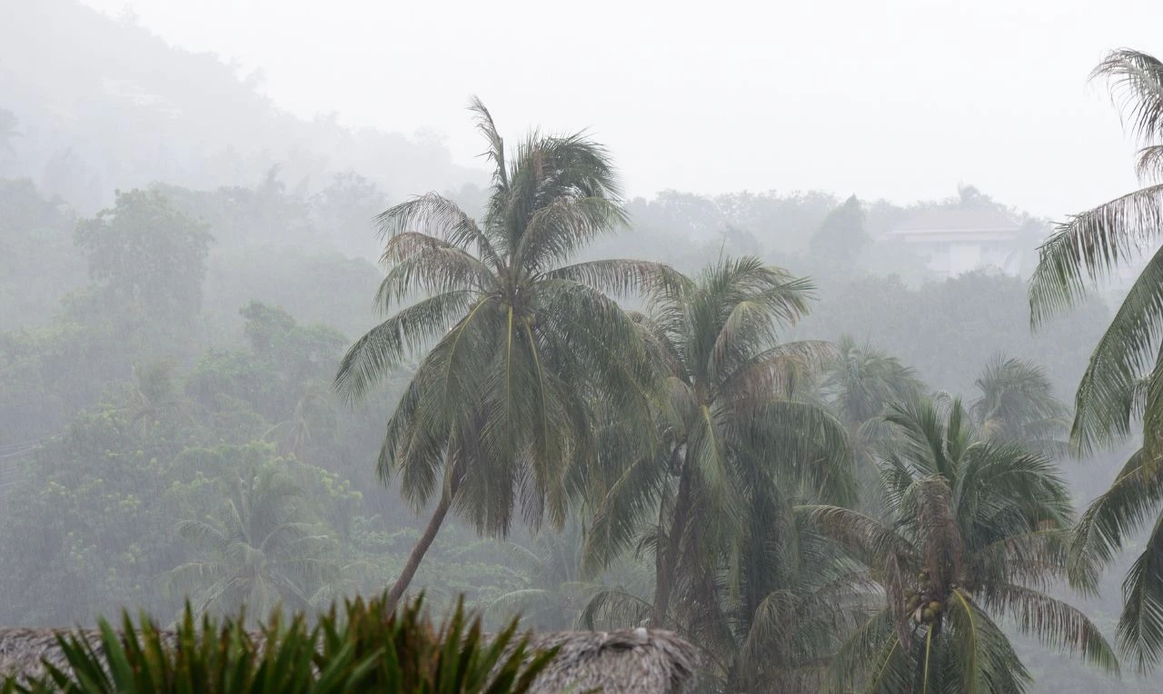 A imagem ilustra as pancadas de chuva que poderão ocorrer no Nordeste