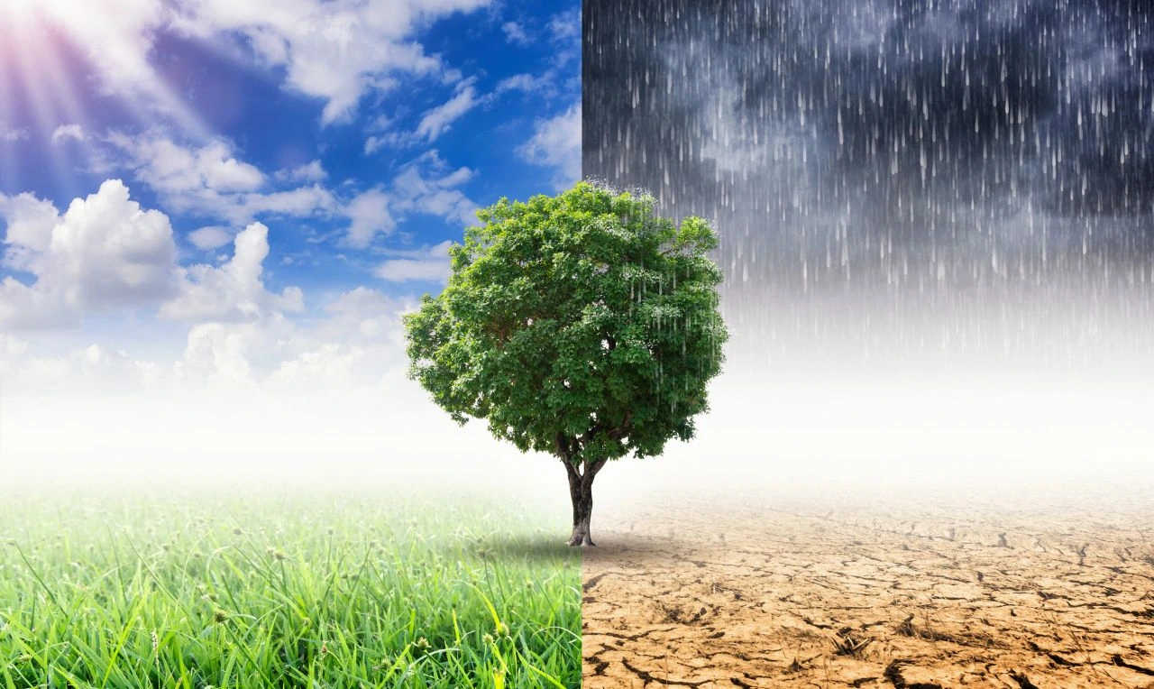 A imagem ilustra tempo e clima